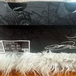 Nike LeBron XX Low in Black and White